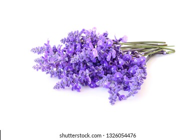 Honey Sage Flowers Isolated On White Background