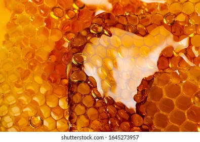 honey texture close up in the detail - Powered by Shutterstock