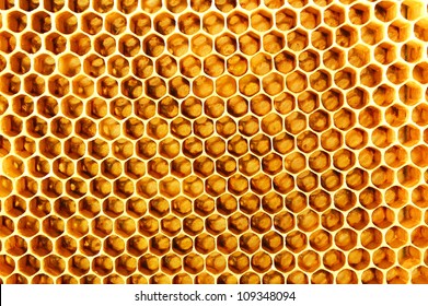 Honeycomb Stock Photo 109348094 | Shutterstock