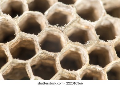 honeycomb as background