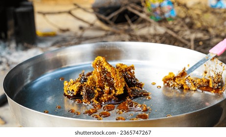Honeycomb and bee or Apis florea on acacia tree and blur  background. Detail of honeycomb structure with wild Apis Mellifera Carnica or Western Honey Bees working on the chambers - Shutterstock ID 2365747267