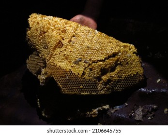 Honeycomb Or Beehive, Natural Beehive From The Deep Forest. Rare Collection From Amazing Nature.