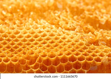 Honeycomb Cells, Beeswax 