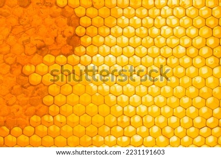 Honeycomb close up background. Natural honey in honeycomb wallpaper. Beekeeping concept. Cells of a frame partially filled with honey
