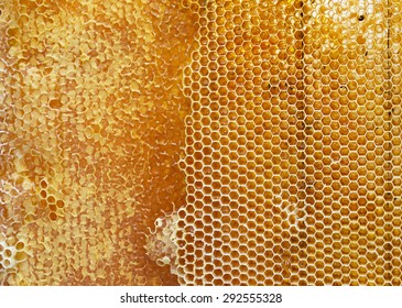 Honeycomb Filled With Honey Texture