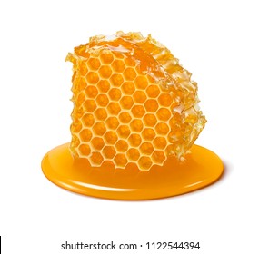Honeycomb. Honey cell slice isolated on white background. Package design element with clipping path