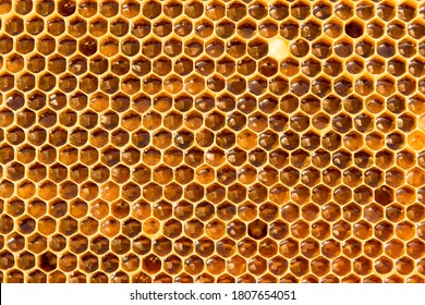 22,409 Honeycomb Details Images, Stock Photos & Vectors | Shutterstock