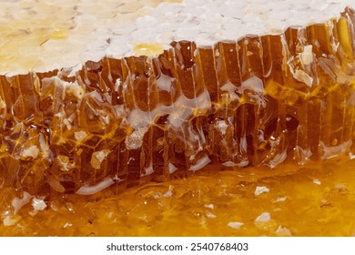 Honeycomb and honeydipper, white background