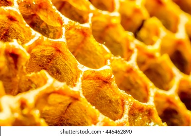Honeycomb Macro As A Background