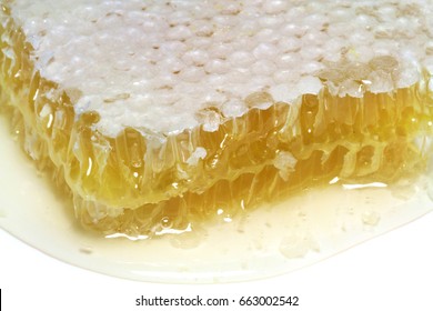 Honeycomb Macro Images