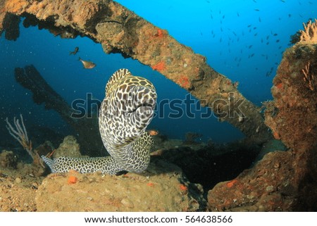 Similar – Image, Stock Photo Water in honeycombs