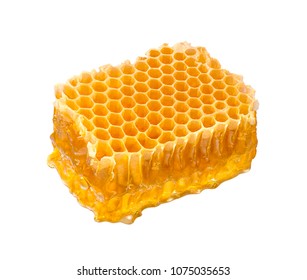 Honeycomb piece isolated on white background. Honey comb slice for package design