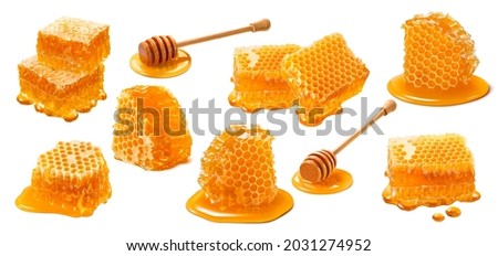 Honeycomb set isolated on white background. Wooden honey dippers. Package design elements with clipping path