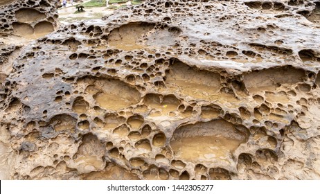 Honeycomb Weathering Rock At Yehliu Geopark In Taiwan. Honeycombed Rocks Refer To The Rocks That Are Covered With Holes Of Different Sizes And Appear Like The Honeycombs As A Result.