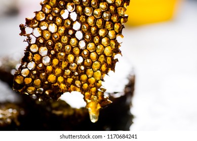 honeycombs and honey flowing from them