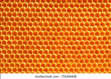 蜜蜂の巣 の画像 写真素材 ベクター画像 Shutterstock