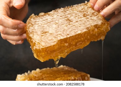 Honeycombs, textured with Golden organic honey, in sunlight, on black background. Sweet honeycomb in the hands of beekeeper close-up. Drops of honey flow down the combs and hands of pastry chef. - Powered by Shutterstock