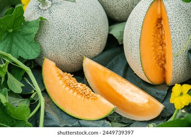 Honeydew melon and Japanese melon slice fresh ripe orange and sweet green slice lay on leaf in plant. Melon or cantaloupe is sweet fruit dessert.