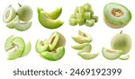 Honeydew muskmelon melon fruit, many angles and view side top front cluster stalk group cut isolated on background cutout file. Mockup template for artwork graphic design	
