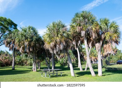 Honeymoon Island State Park In Florida