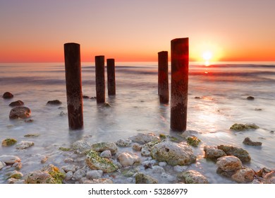 Honeymoon Island State Park , Florida