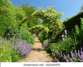 Honeysuckle Arches Over A Garden Path  On A Sunny Day In An English Country Garden, UK.