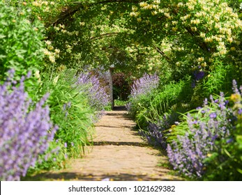 Honeysuckle Arches Over A Garden Path  On A Sunny Day In An English Country Garden, UK.