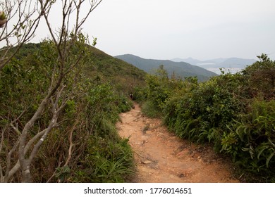 Hong Kong Dragon Back Hike In The Mountains