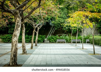 Hong Kong - Kowloon Park