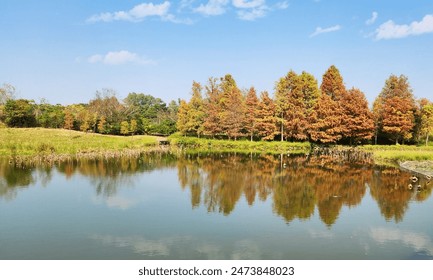 Hong Kong Wetland Park with maple leaf in Autumn - Powered by Shutterstock
