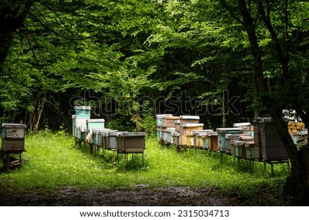 Honie boxes, bee house, making honie