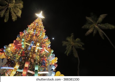 Honolulu Christmas 