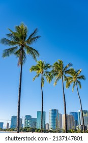 Honolulu, Hawaii - circa February 2022: Beautiful palm trees in the foreground with the city skyline beyond, at Ala Moana Beach Park.