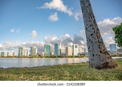 Honolulu, Hawaii - circa February 2022: A palm tree trunk in focus in the foreground, with the beautiful city skyline beyond, visible from Ala Moana harbor.