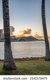 Honolulu, Hawaii - circa February 2022: The beautiful city skyline from Ala Moana harbor, past palm tree trunks blurred in the foreground.