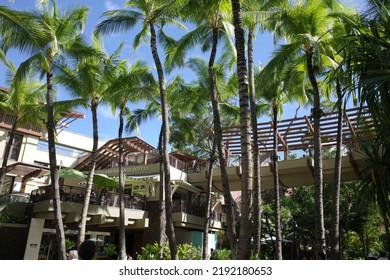 Honolulu, Hawaii, USA - July 28 2022: Palm Trees In Front Of Royal Hawaiian Shopping Center. Daytime.