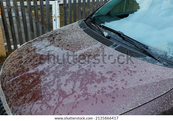Hood of\
red car with red dust spots after blood\
rain