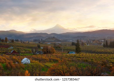 Hood River And Mount Hood During Sunset In Fall Season