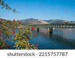 The Hood River-White Salmon Interstate Bridge, framed with red berry green brush. Bridge is seen from the Oregon side going towards the Washington State on the other bank. 