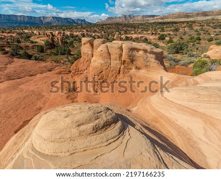 Hoodoo On Slick Rock Overlooking The Straight Cliffs Formation at The Devils Rock Garden on The Kaiparowits Plateau,Devils  Rock Garden, Grand Staircase Escalante NM, Utah, USA