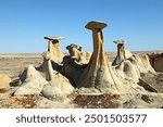 Hoodoos in Ah-shi-sle-pah Wilderness, San Juan Basin, New Mexico, USA