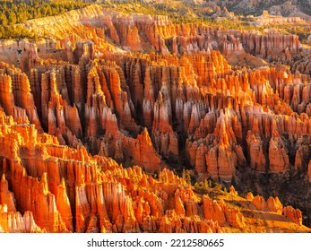 Hoodoos at Bryce Canyon National Park Utah USA  - Powered by Shutterstock