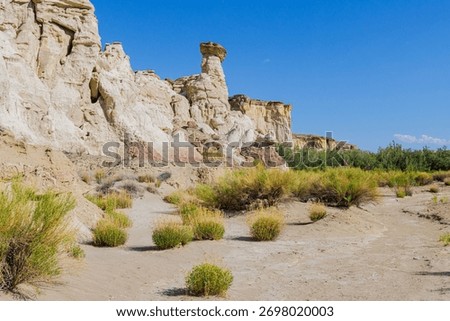 Hoodoos on White Sandstone Cliffs Above Dry Wahweap Creek, Wahweap Hoodoos Trail, Grand Staircase-Escalante National Monument, Utah, USA