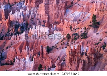 Hoodoos Rock Formations. Bryce Canyon National Park, Utah, USA.