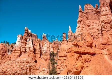 Hoodoos and rock formations. Unique rock formations from sandstone made by geological erosion in Bryce canyon, Utah, USA.  商業照片 © 