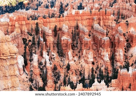 Hoodoos are unique geological structures formed by erosion. Giant natural amphitheater created by erosion. Incredible landscape illuminated by the sunset. Bryce Canyon in the USA. 