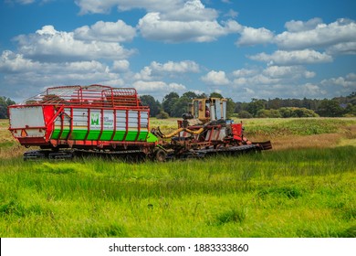 Hoofdweg, Taarlo, Drenthe Province, The Netherlands September 15, 2015: Mowing And Clearing Vegetation In Wetland Nature Reserve Taarlosche Diep A Part Of The Drentsche Aa Catchment Area