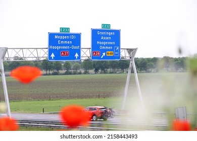 Hoogeveen, Netherlands- May 20, 2022:Blooming poppy on the noise barrier of the A28 in Hoogeveen, the Netherlands