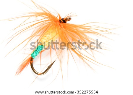 hook artificial fly feather on a white background