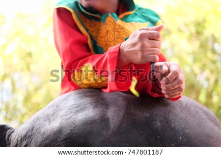 Hook in elephant driver hand. / mahout sitting on the elephant and holding the small knife

 
